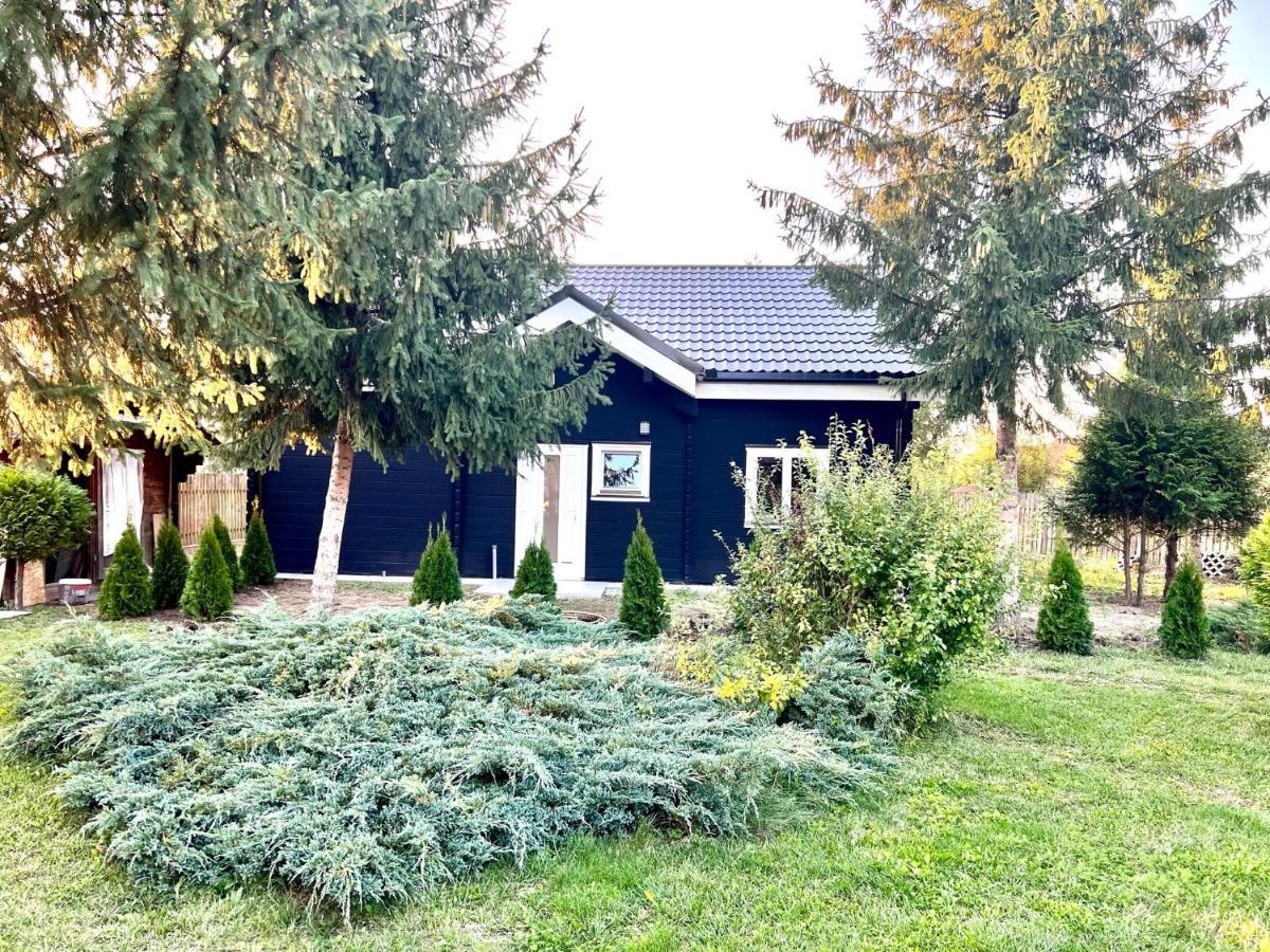 Sîngeorgiu de Mureş Vila Scandinavia מראה חיצוני תמונה